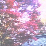 KC3R016400010001 KC3R016400010001.jpg